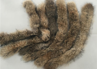 Porcellana Morbidezza calda del grande del procione del cappotto collare genuino della pelliccia con colore naturale di Brown fornitore