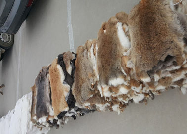 Porcellana Colore naturale regolare 25*35cm di Brown della pelle del coniglio di Rex degli accessori del rivestimento del cappotto fornitore