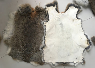 Porcellana Pelle abbronzata amichevole del coniglio di Eco Rex 1.5-3 lunghezze della pelliccia di cm per il tessuto/cuscini domestici fornitore