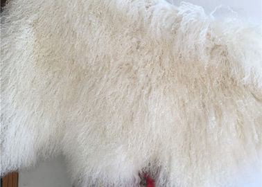 Porcellana Coperta riccia bianca 100% della pelliccia dei capelli della pelle di pecora della crema mongola lunga naturale della pelle d'agnello fornitore
