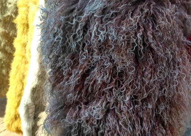 Porcellana Coperta riccia della pelliccia delle pecore dei capelli della lana d'agnello mongola genuina lunga reale della pelle di pecora fornitore