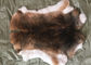 la pelliccia del coniglio di 30*40cm Rex pela la morbidezza calda, pelliccia di Rex del cincillà con colore naturale/tinto fornitore
