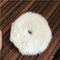 Forma rotonda genuina dura amichevole del tampone a cuscinetti per lucidare della lana di Eco per cura di automobile fornitore