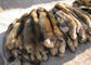 Morbidezza fertile staccabile del procione di 100% del cuoio naturale reale della pelliccia per il cappuccio dei vestiti fornitore