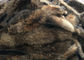 Pelle greggia di colore del procione del collare naturale della pelliccia i gradi 70 - 105cm per l'indumento/tessuto domestico fornitore