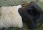 Cuscino di Seat decorativo della lana d'agnello dell'automobile domestica caldo con lana tosata merino tinta fornitore