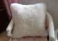 Il doppio del cuscino di Seat della lana d'agnello della pelle di pecora di shearling ha parteggiato per il letto/sofà decorativi fornitore