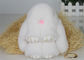 Etichetta di caduta di Keychain del coniglietto della pelliccia del coniglio dell'OEM 13 -20 cm per l'indumento/decorazione fornitore