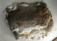 Pelle abbronzata amichevole del coniglio di Eco Rex 1.5-3 lunghezze della pelliccia di cm per il tessuto/cuscini domestici fornitore
