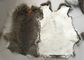 Pelle abbronzata amichevole del coniglio di Eco Rex 1.5-3 lunghezze della pelliccia di cm per il tessuto/cuscini domestici fornitore