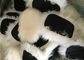 Scelga il guanto mezzo parteggiato dell'autolavaggio della pelle di pecora della pelliccia per pulizia/lucidatura dettaglianti fornitore