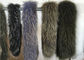 Collare autentico lanuginoso della pelliccia del procione, disposizione naturale del cappuccio della pelliccia del procione di colore per le donne fornitore