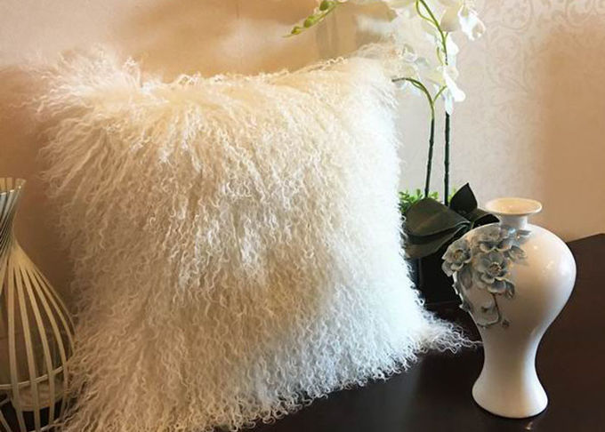 Cuscino decorativo sfocato bianco, cuscino mongolo riccio extra-lungo della lana d'agnello 
