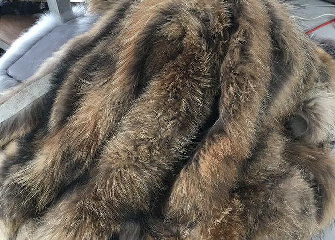 Caldo irrestringibile del procione di Brown della pelliccia della disposizione reale del collare per il cappotto di inverno delle donne