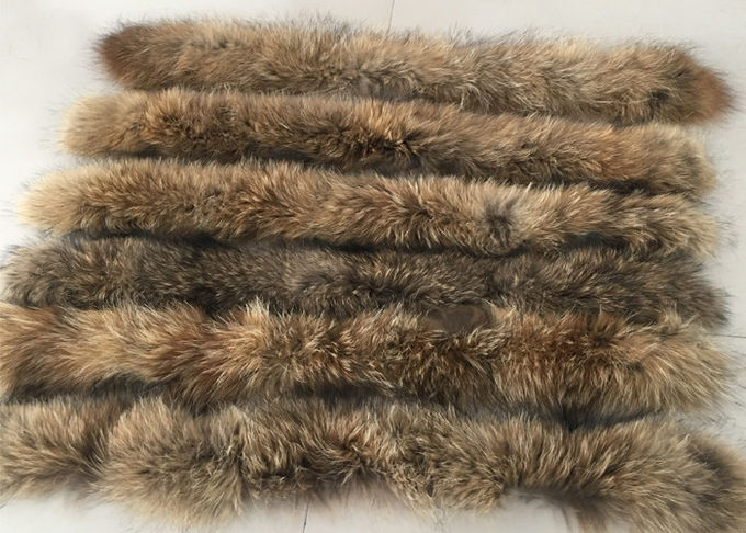Pelle greggia di colore del procione del collare naturale della pelliccia i gradi 70 - 105cm per l'indumento/tessuto domestico