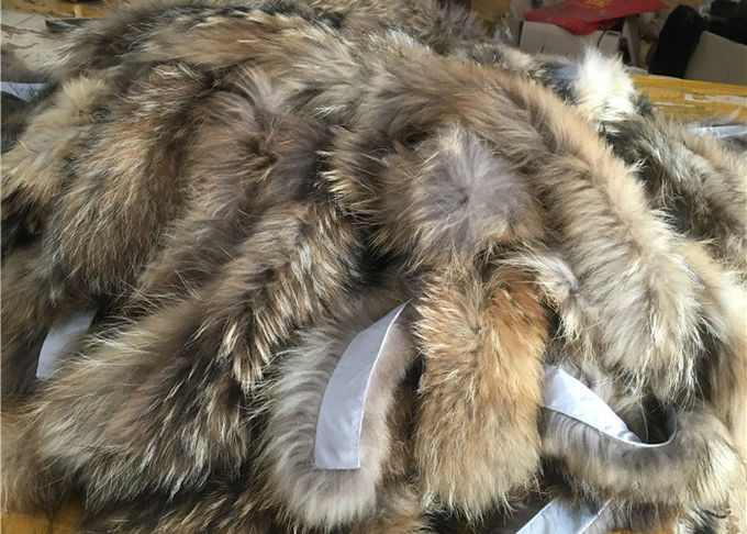 Caldo irrestringibile del procione di Brown della pelliccia della disposizione reale del collare per il cappotto di inverno delle donne