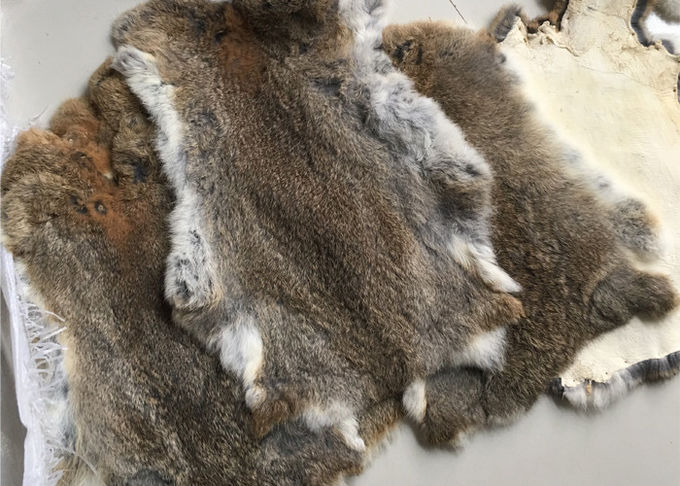 la pelliccia tinta liscia del coniglio di 30*40cm colpisce comodo caldo per l'indumento dell'inverno