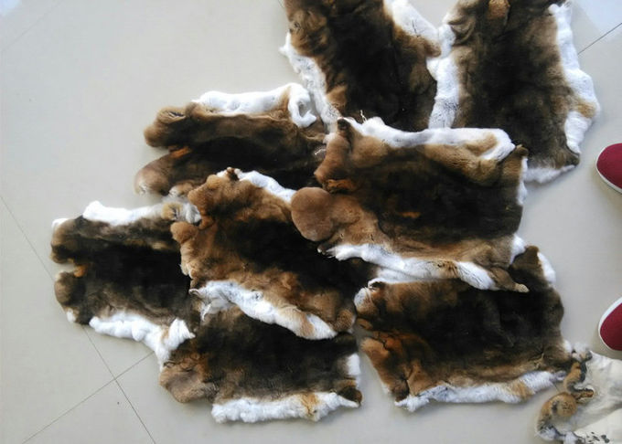 Pelli lanuginosa molle naturale del coniglio di Rex 12 x 15 pollici per la fabbricazione delle coperture della sedia