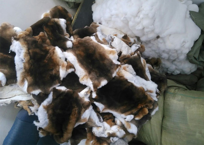Caldo antivento del tessuto di Rex della pelle reale domestica del coniglio per il rivestimento del cappotto di inverno