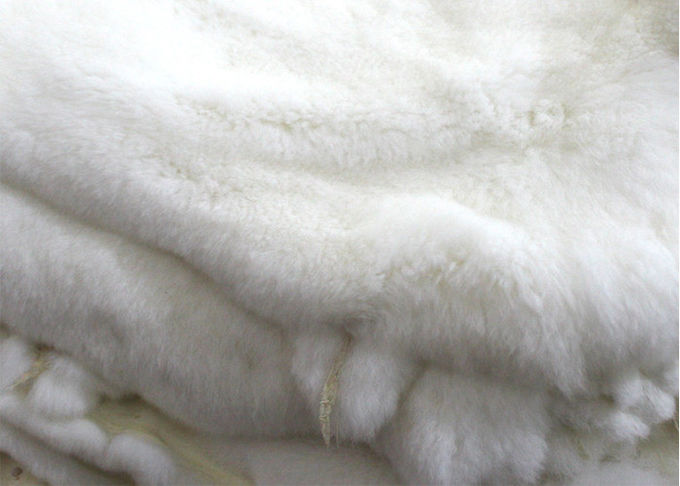 Pelle abbronzata reale del coniglio dello SGS Rex con progettazione di inverno di lunghezza dei capelli di 2-2.8cm