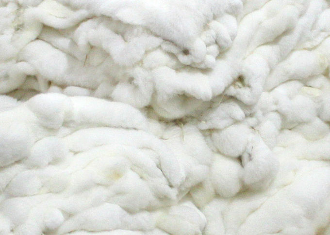 Caldo antivento del tessuto di Rex della pelle reale domestica del coniglio per il rivestimento del cappotto di inverno