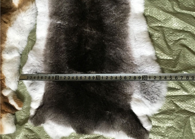 La pelliccia lanuginosa bianca della pelle del coniglio di Rex dei capelli nasconde Comfortbale caldo per gli indumenti