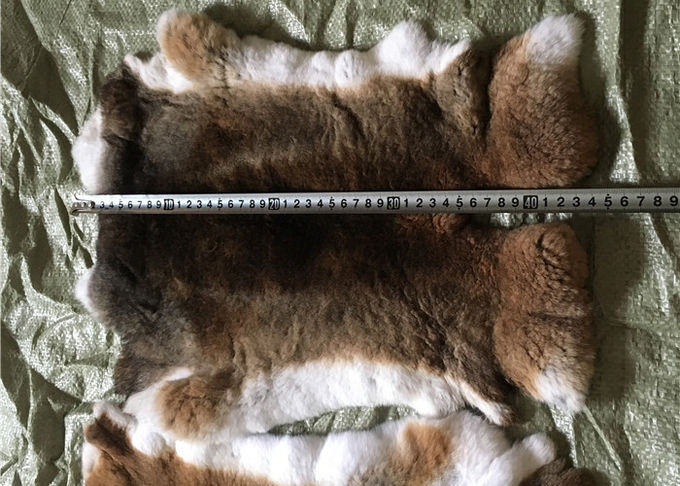 Pelliccia molle eccellente calda Winderproof del coniglio di Rex per la fabbricazione della coperta coniglio/dell'abbigliamento
