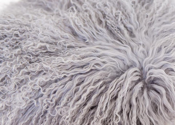Tiro lungo genuino lussuoso della pelliccia dell'agnello del Tibet dei capelli del cuscino mongolo della pelliccia per la casa