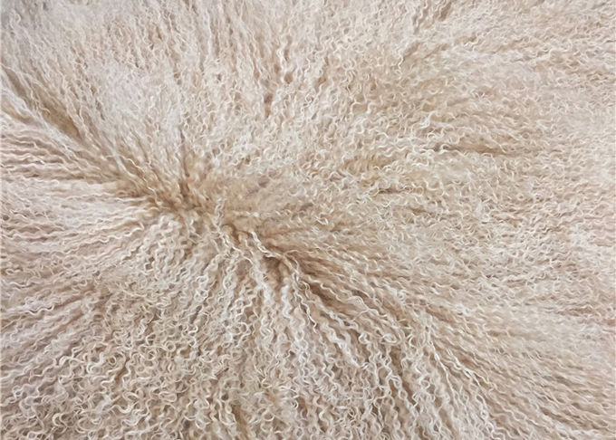 Cuscino mongolo dai capelli lunghi naturale della pelliccia dell'agnello della lana d'agnello della copertura tibetana del cuscino