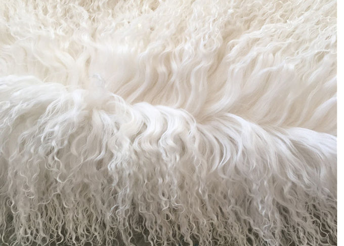 Coperta riccia bianca 100% della pelliccia dei capelli della pelle di pecora della crema mongola lunga naturale della pelle d'agnello