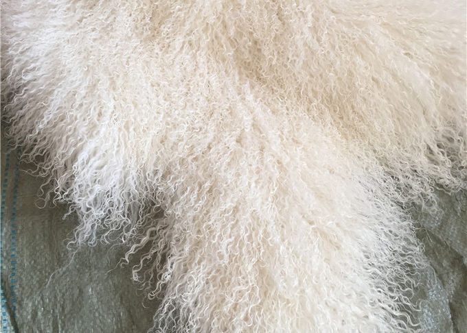 La pelliccia mongola della lana d'agnello tibetana bianca naturale materiale riccia lunga della pelle di pecora si nasconde