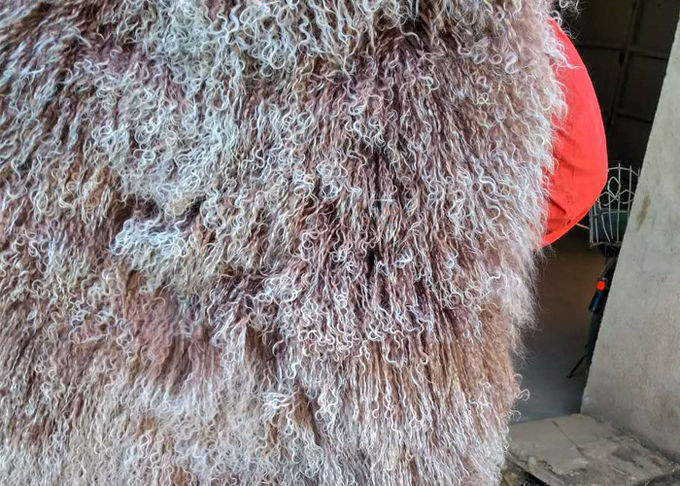 Copertura riccia del piatto della lana della pelle di pecora del pellame 100% dei capelli del Tibet della pelliccia lunga mongola dell'agnello