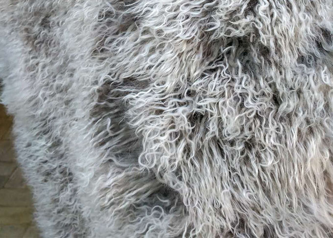 Pelliccia bianca mongola Materiral dei capelli della lana riccia naturale lunga delle pecore per il tiro del letto