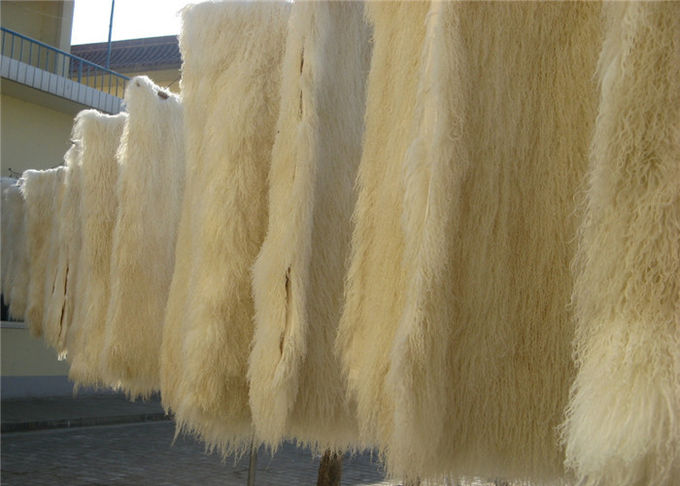Cuscino di tiro tibetano della pelliccia della lana d'agnello dei capelli delle pecore del cuscino mongolo riccio lungo della pelliccia