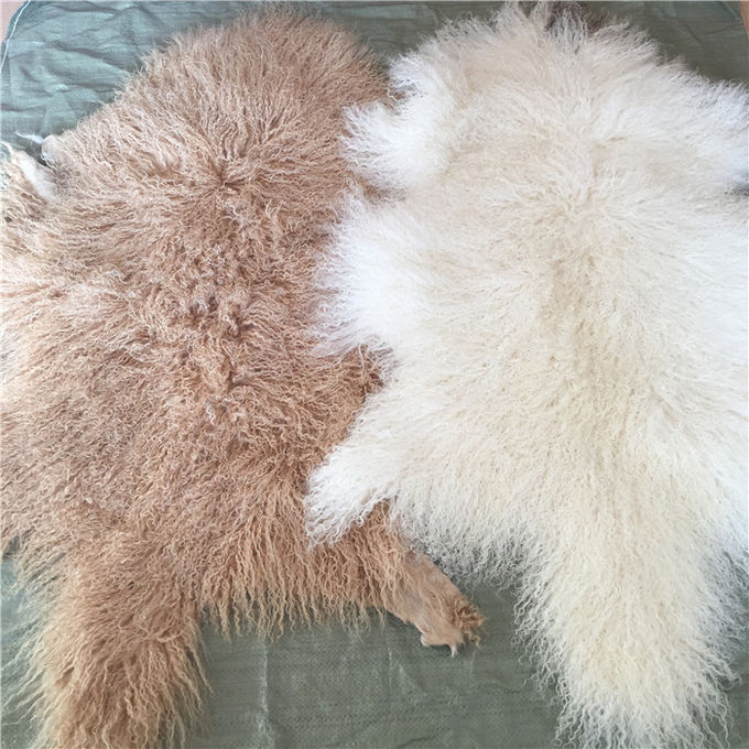 La pelliccia mongola della lana d'agnello tibetana bianca naturale materiale riccia lunga della pelle di pecora si nasconde