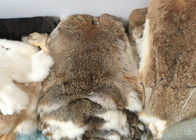 Cappotto che allinea densità pesante lanuginosa morbida reale dell'intera di Rex pelle del coniglio per l'inverno