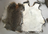 Porcellana Pelle abbronzata amichevole del coniglio di Eco Rex 1.5-3 lunghezze della pelliccia di cm per il tessuto/cuscini domestici società