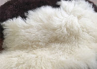 Porcellana Pelliccia bianca mongola Materiral dei capelli della lana riccia naturale lunga delle pecore per il tiro del letto società