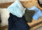 Cuscino lungo tinto variopinto dello strato della pelliccia dell'agnello della pelle del Tibet dei capelli del cuscino mongolo della pelliccia fornitore