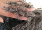 Capelli ricci lunghi del cuscino mongolo a 16 pollici della pelliccia del salone con il micro rivestimento della pelle scamosciata fornitore