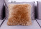 Forma decorativa del quadrato del cuscino di Seat della lana d'agnello del sofà domestico con lana liscia lunga fornitore