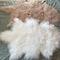 La pelliccia mongola della lana d'agnello tibetana bianca naturale materiale riccia lunga della pelle di pecora si nasconde fornitore