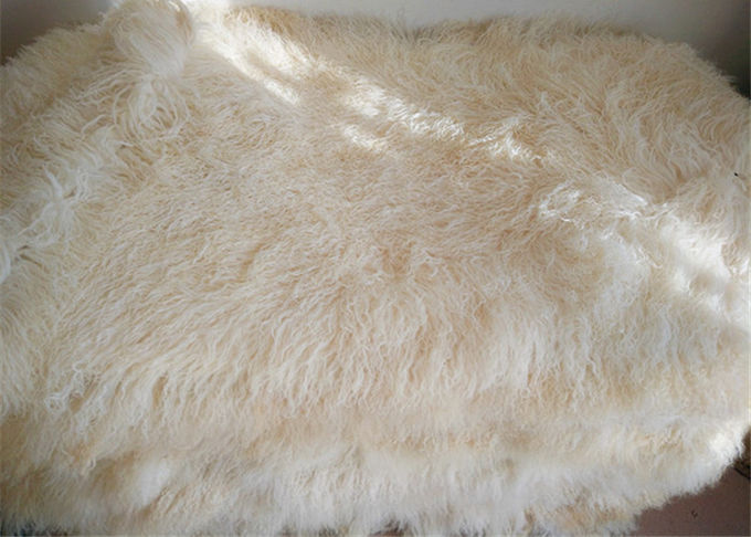 Il cuscino mongolo rotondo della pelliccia dei capelli lunghi grigio chiaro liscia con il rivestimento della pelliccia delle pecore di shearling