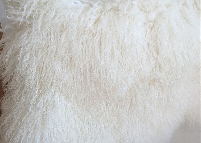 Copertura riccia del piatto della lana della pelle di pecora del pellame 100% dei capelli del Tibet della pelliccia lunga mongola dell'agnello