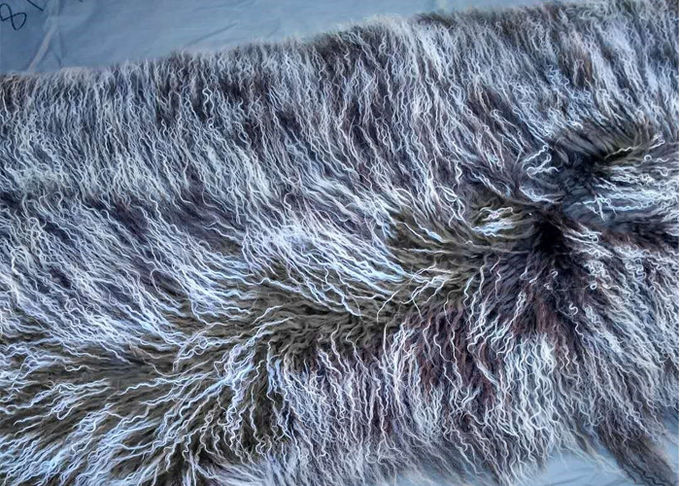 Copertura tibetana del cuscino della pelliccia dell'agnello della pelle d'agnello del cuscino della pelliccia dei capelli lunghi ricci mongoli del tiro