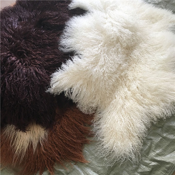 Pelliccia bianca mongola Materiral dei capelli della lana riccia naturale lunga delle pecore per il tiro del letto